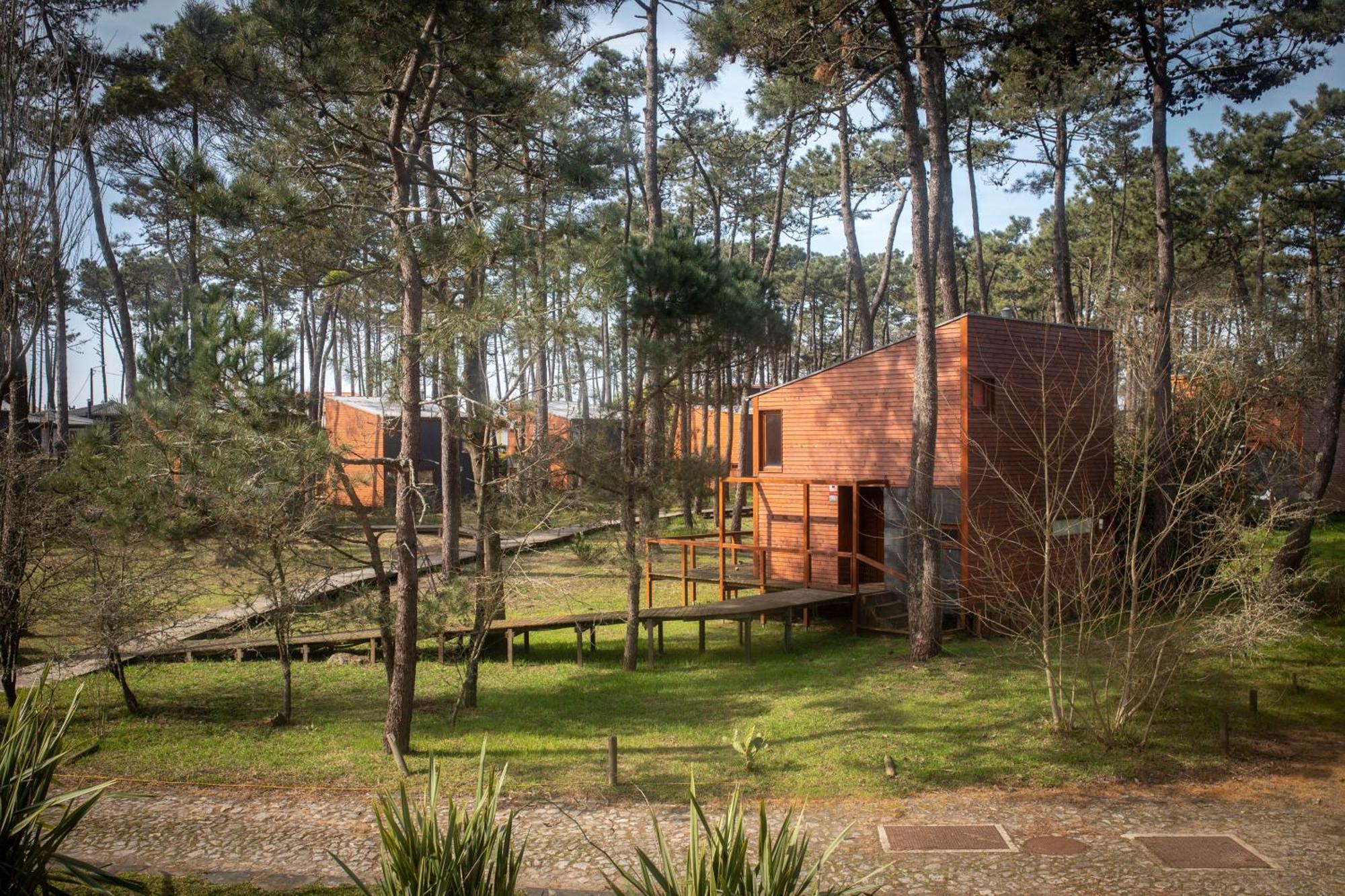 Bungalow B2 - Nature, Beach & River Ofir Exteriér fotografie