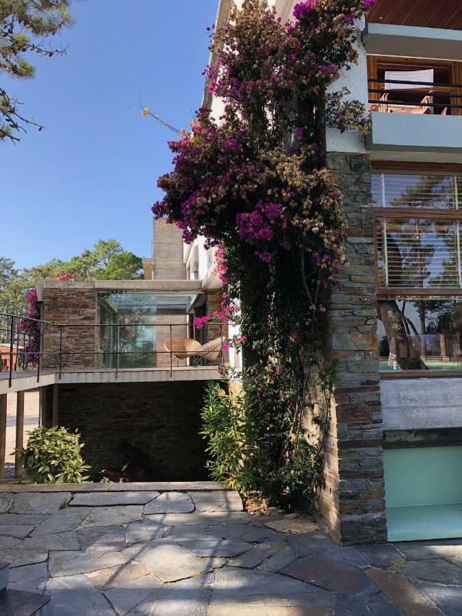 Bungalow B2 - Nature, Beach & River Ofir Exteriér fotografie