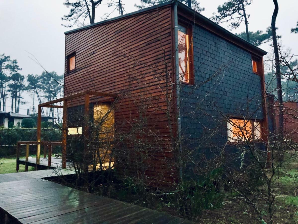 Bungalow B2 - Nature, Beach & River Ofir Exteriér fotografie