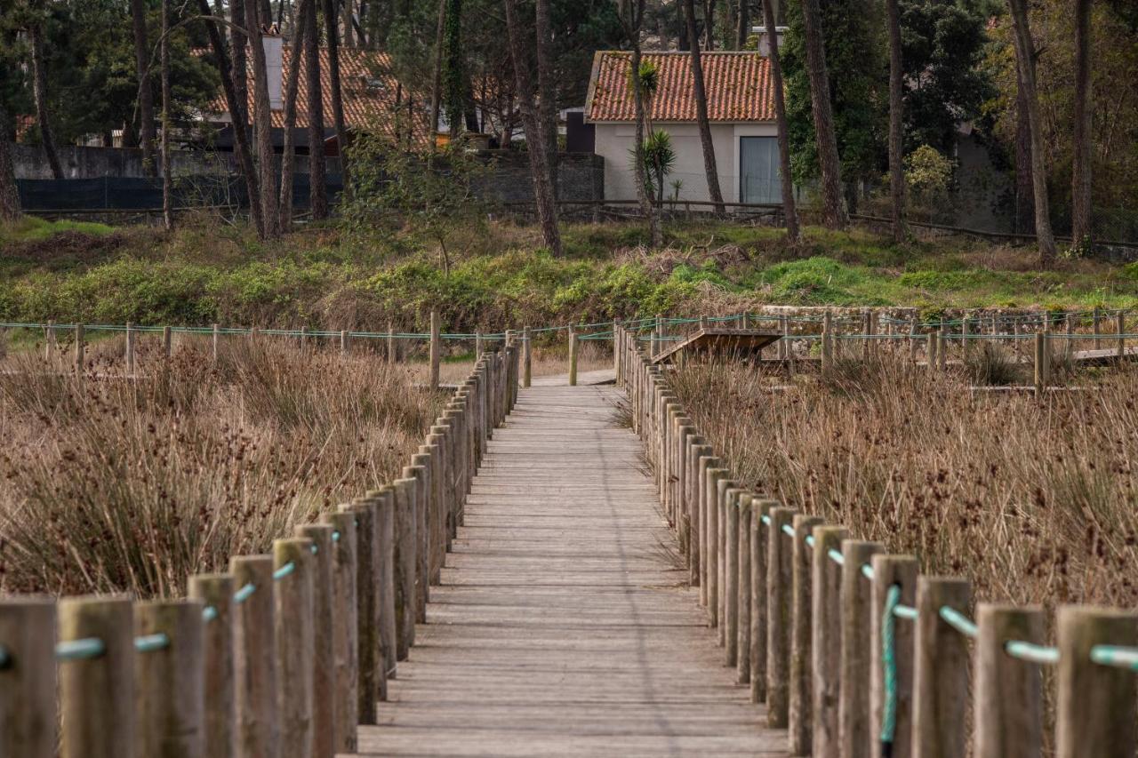 Bungalow B2 - Nature, Beach & River Ofir Exteriér fotografie
