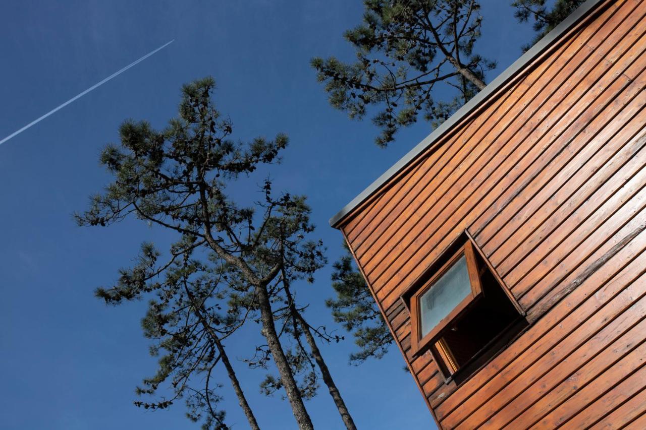 Bungalow B2 - Nature, Beach & River Ofir Exteriér fotografie