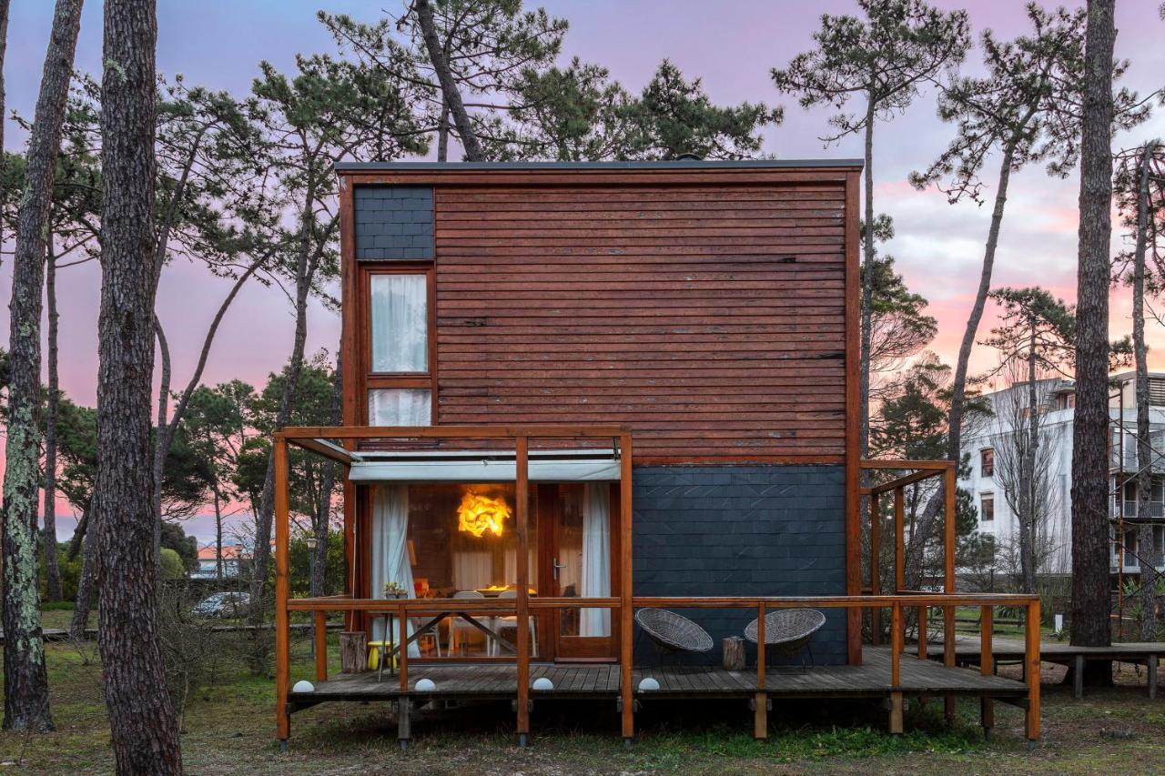 Bungalow B2 - Nature, Beach & River Ofir Exteriér fotografie