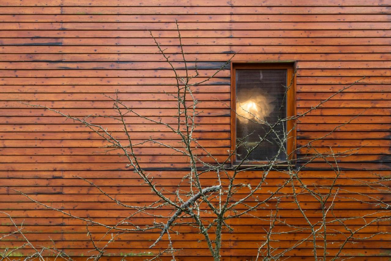 Bungalow B2 - Nature, Beach & River Ofir Exteriér fotografie